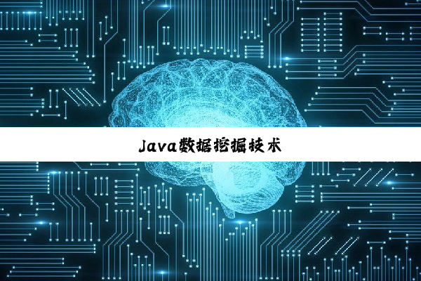 Java数据挖掘技术